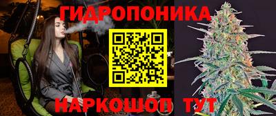 хмурый Кимры