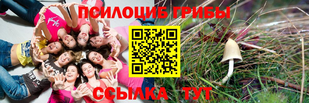 Псилоцибиновые грибы мухоморы Волоколамск